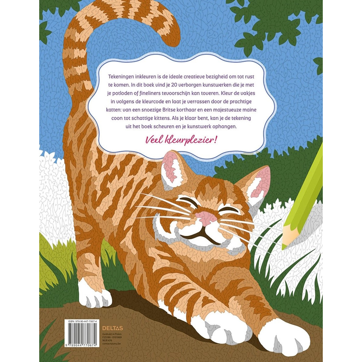 Katten - Kleurplaten op nummer