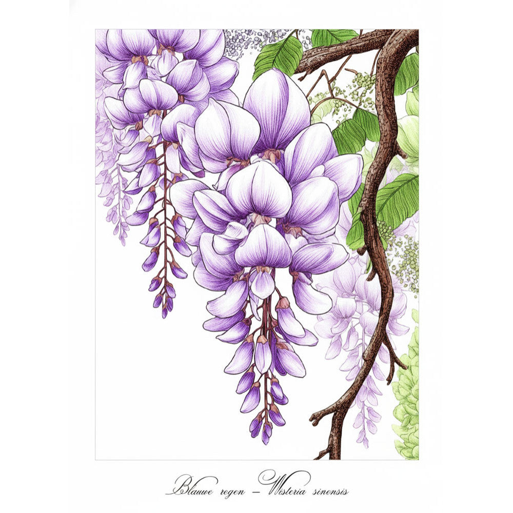 Bloemen in Bloei Kleurboek voor Volwassenen